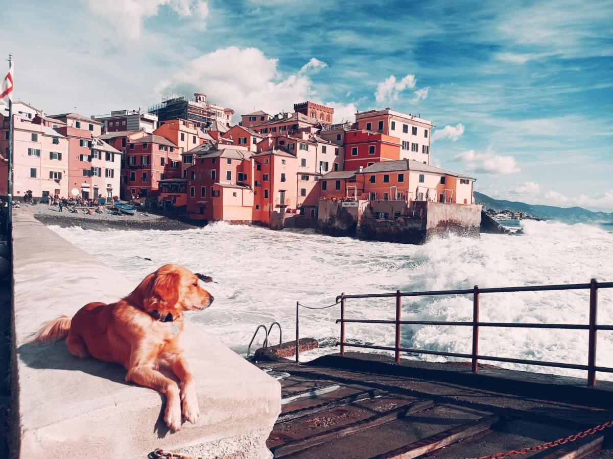 Il Giardino A Boccadasse Genoa Ngoại thất bức ảnh